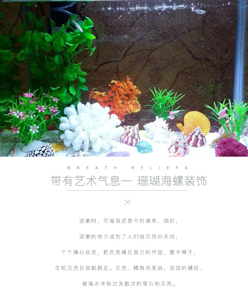 Coral Conch, 01.jpg
