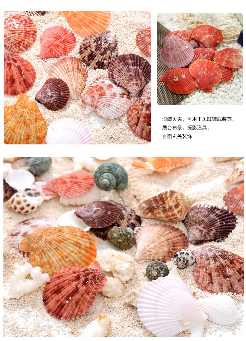 Color Bed_06.jpg