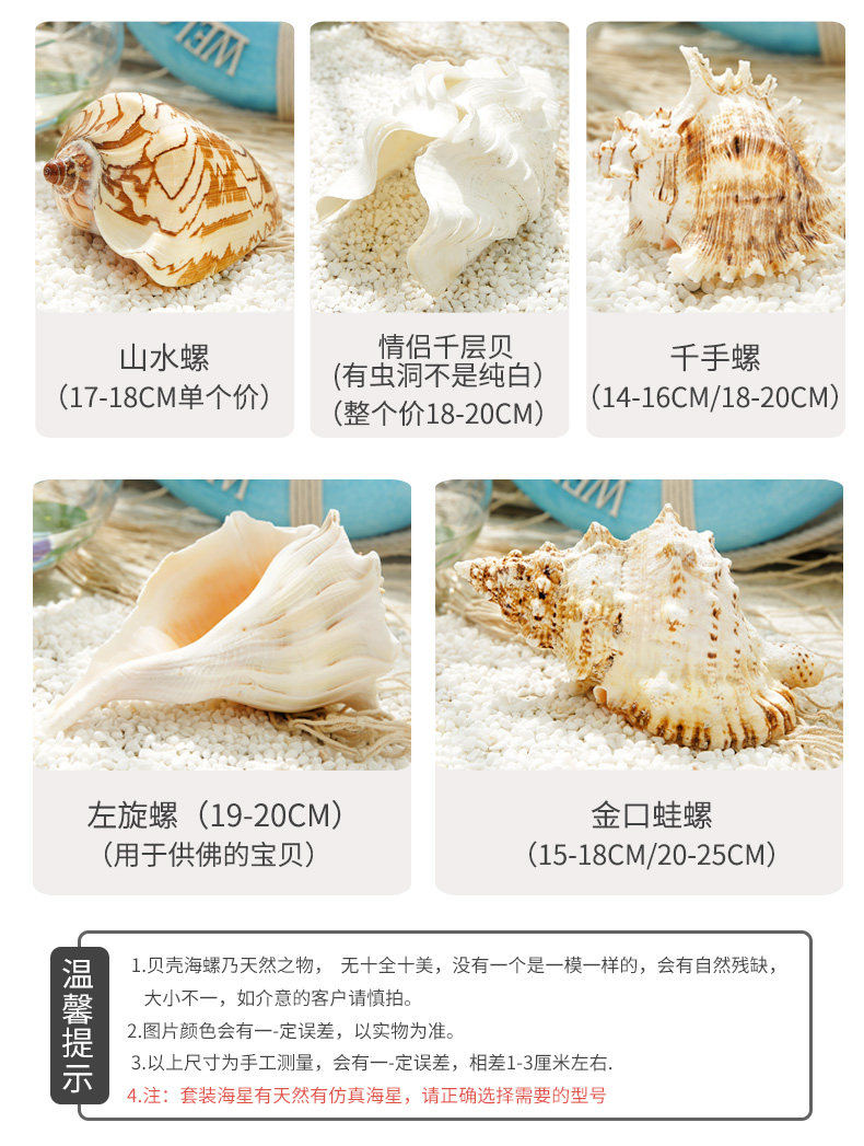 Pearl Snail_06.jpg