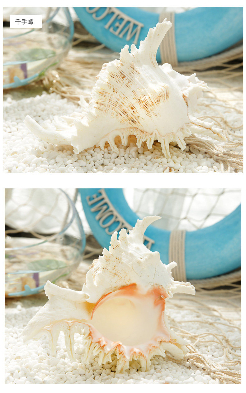 Pearl Snail_13.jpg