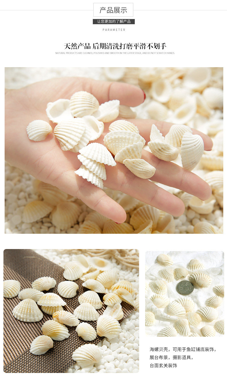 Small Shell_05.jpg