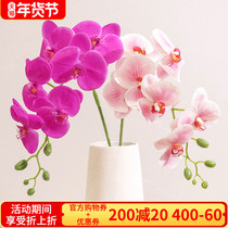 Simulation of single Phalaenopsis flower art silk flower fake flower table flower wedding flower material moisturizing hand feeling Phalaenopsis Cymbidium leaf