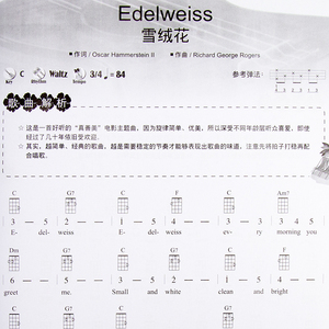 正版 尤克里里完全入门24课 尤克里里小吉他教程书初学入门教材 教学书籍曲谱 吉林音像出版社
