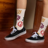 Vans, классические кроссовки, низкий скейтборд для начинающих, в американском стиле