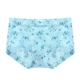 2151 Blue Rose