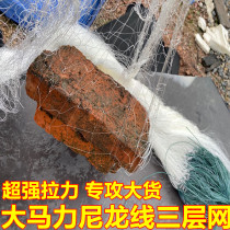 Vigorously horse wire mesh Nylon wire mesh Large horsepower wire fishing net sticky net three-layer net Nylon net Catch fish fishing net hanging net
