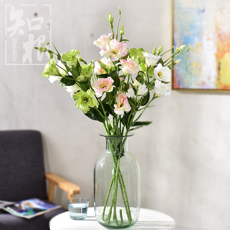 ֪���߷��滨JG-003