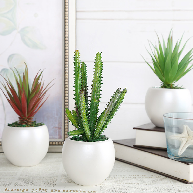 ֪���߷���ֲ���辰TZ-379