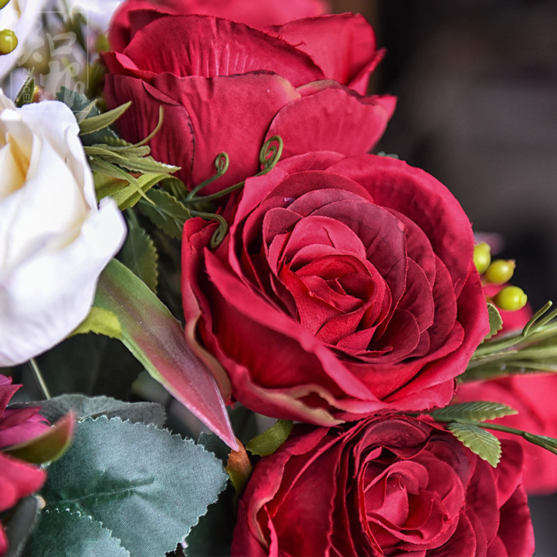 ֪���߷��滨TZ-446