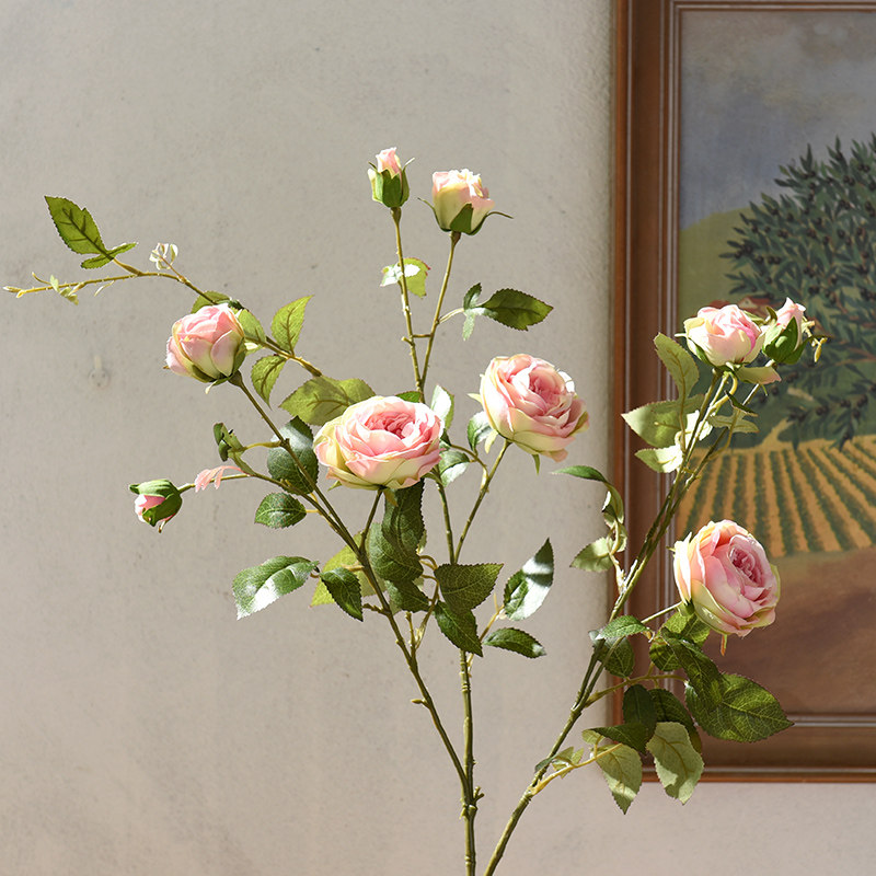 ֪���Ҿ���Ʒ�����ڷŻ���JLM-001