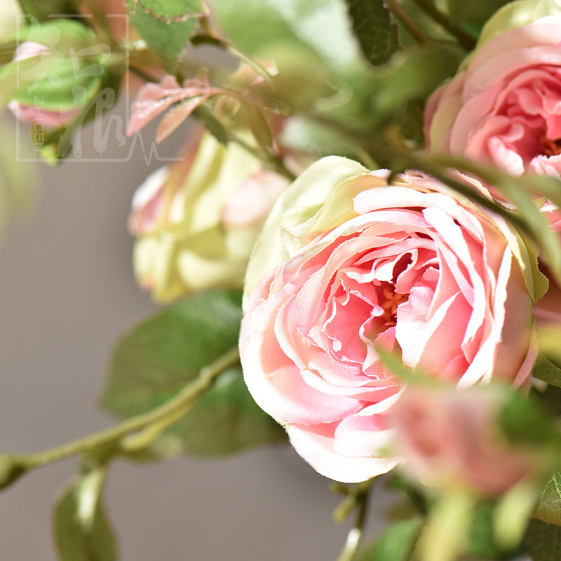 ֪���Ҿ���Ʒ�����ڷŻ���JLM-001