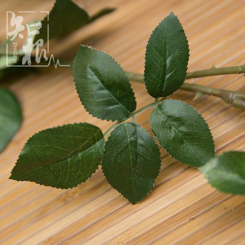 ֪���Ҿ���Ʒ�߷��滨MG-077