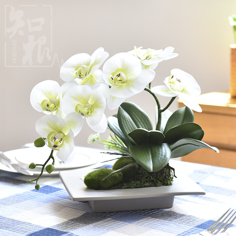 ֪���ٻ�pu������HDL-031