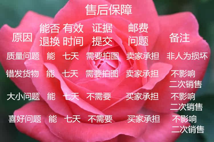 Panier pour vélo en métal - Ref 2257996 Image 12