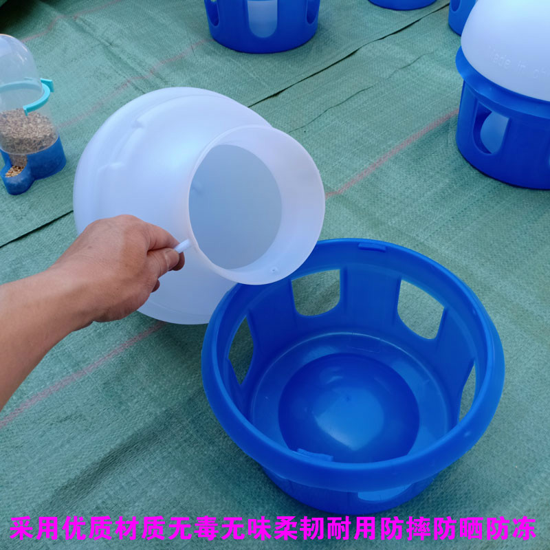 Chim bồ câu cung cấp chim bồ câu chim bồ câu uống đài phun nước chim bồ câu thức ăn chìm đua chim bồ câu hạt chim với ấm bồ câu tự động - Chim & Chăm sóc chim Supplies lồng choè lửa