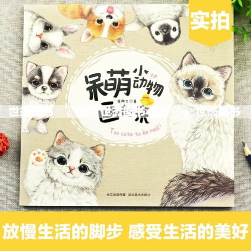 Оригинальный милый карандаш с животными, базовые учебные пособия, детская художественная раскраска, кот, антистресс, провинция Хубэй