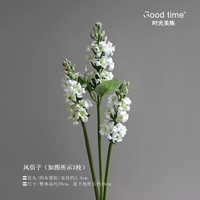 Hyacinth/3 ветви
