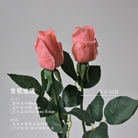Bud Rose/2 ветви [персиковой порошок]