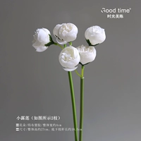 1#小 1/2 ветви