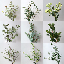 Eucalyptus green eucalyptus simulation leaf Home decoration Wedding photography scene decoration Landscape garden contrast fake tree
