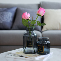 Vase modern simple Nordic ins gray transparent glass ornaments living room simulation flower arrangement props decoration