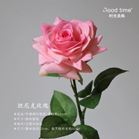 Tanick Rose/1 ветвь [розовый]