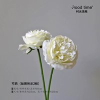 1#药/2 ветви
