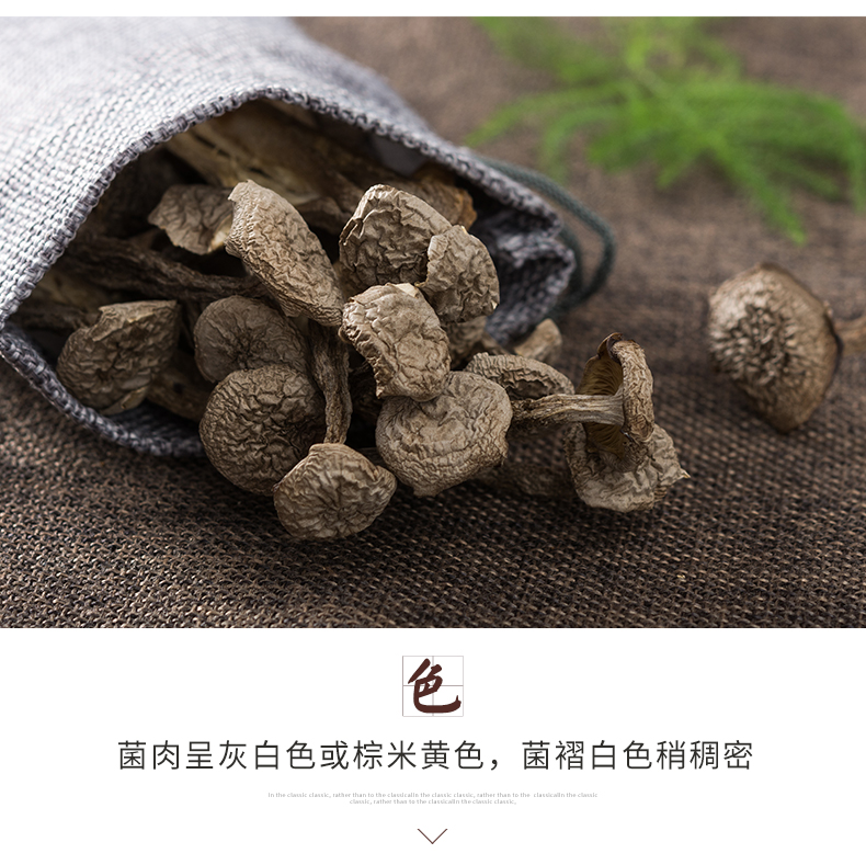 【菌益】鹿茸菇干货60g