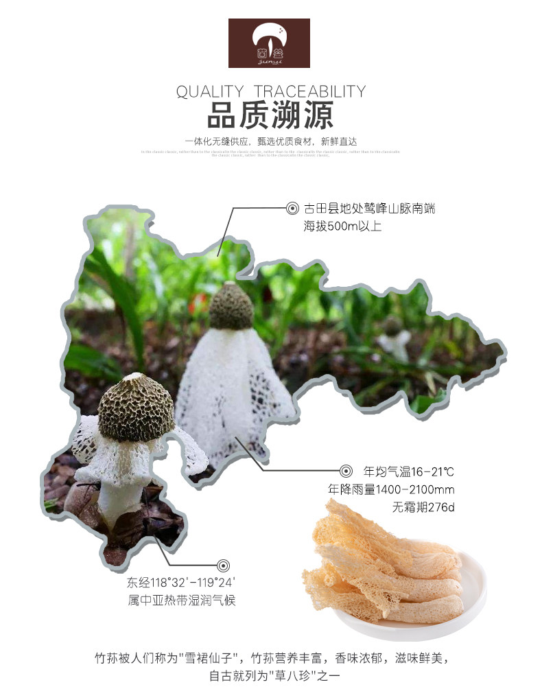 Бамбук 2 _02.jpg