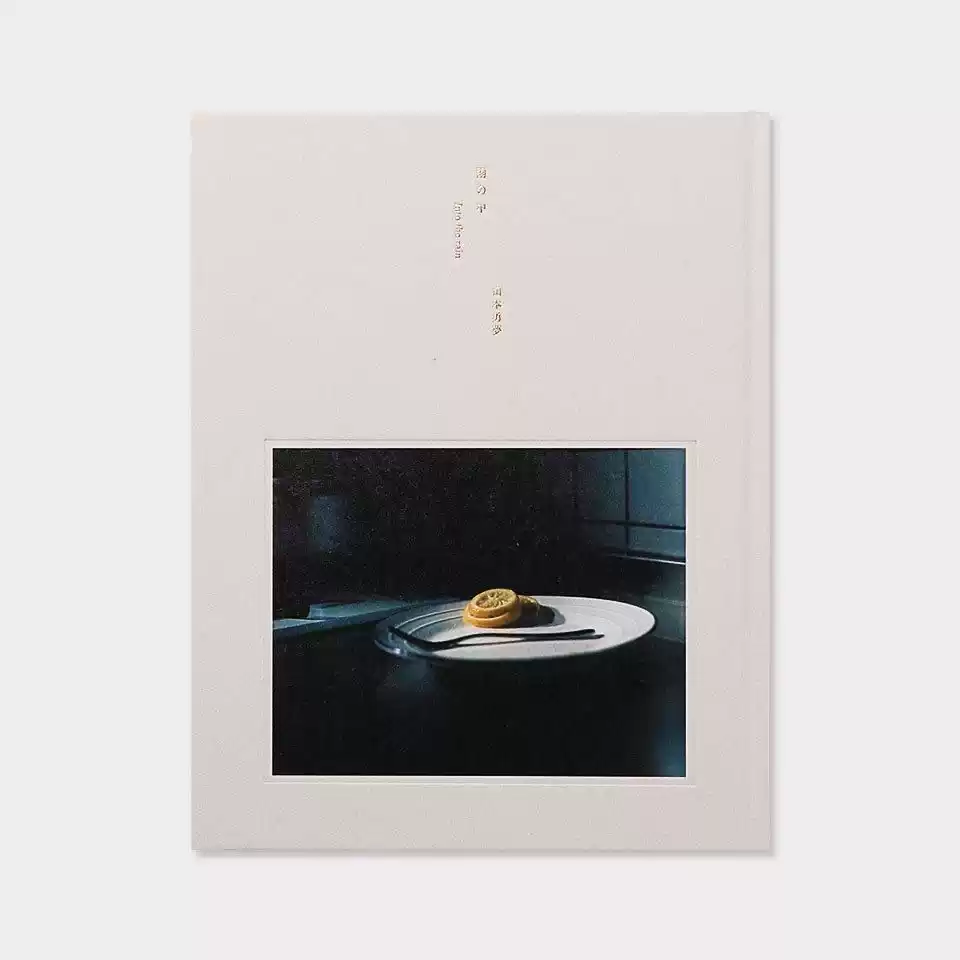 NIRASAWA YASUSHI 韮沢靖韭澤靖作品集原畫集CHAMELEON