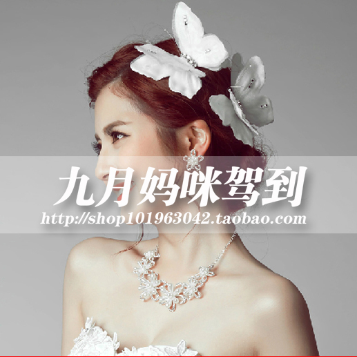Cho thuê bà bầu ảnh quần áo chụp ảnh mặc quần áo áo bầu thu đông