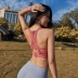 Lusure Sports Vest Nữ có thể điều chỉnh thể dục Chạy Beauty Back Bra Tập hợp đồ lót Yoga chống sốc và Sagging - Đồ lót thể thao Đồ lót thể thao