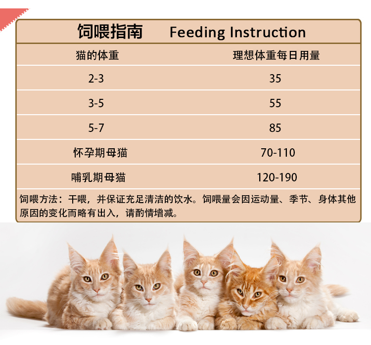 Thức ăn cho mèo tự nhiên Số lượng lớn Tổng hợp 2,5kg Bóng mèo Kitty Đặc biệt Vận chuyển Cá biển lang thang 5 kg - Cat Staples làm thức ăn cho mèo