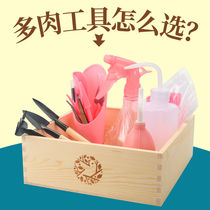 Meat tool combination package meat plant planting tool combination set flower mini gardening supplies meat