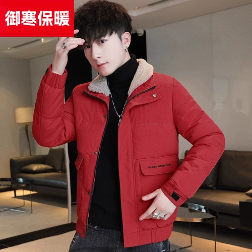 Мужской демисезонный пуховик с пухом, куртка, короткий воротник