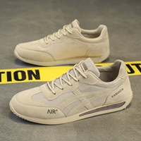 Абрикосовый