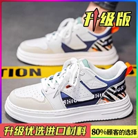 Bailan (модель обновления)