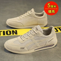 Абрикосовый цвет (повышенная площадка)