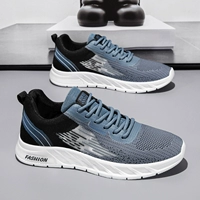 Черный и синий (дикая модель)