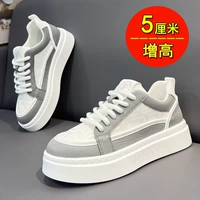 Белый серой (увеличенные деньги)