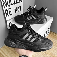 Черный и серый (дикая модель)