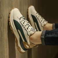 Темно -зеленый (чистый фонд)