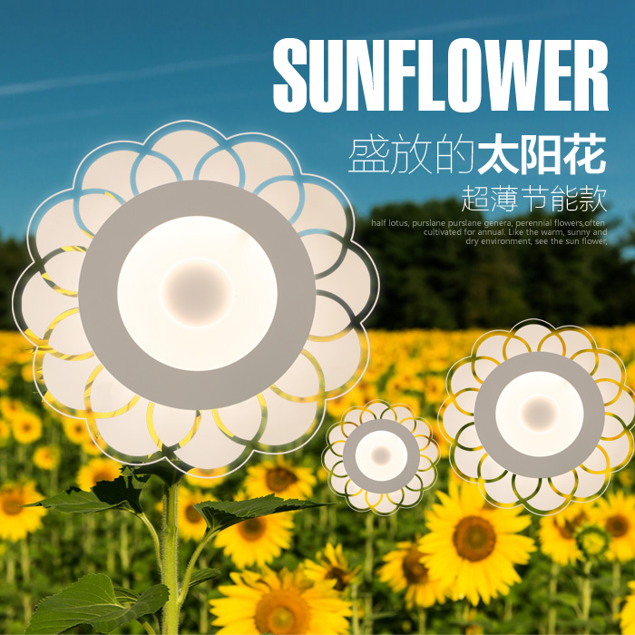 ���Ÿ���������8826