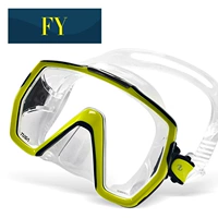 FY