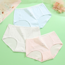 3 Middle waist semi-boxers comfortable and breathable cotton fabric bottoms college students girl junior high school underwear