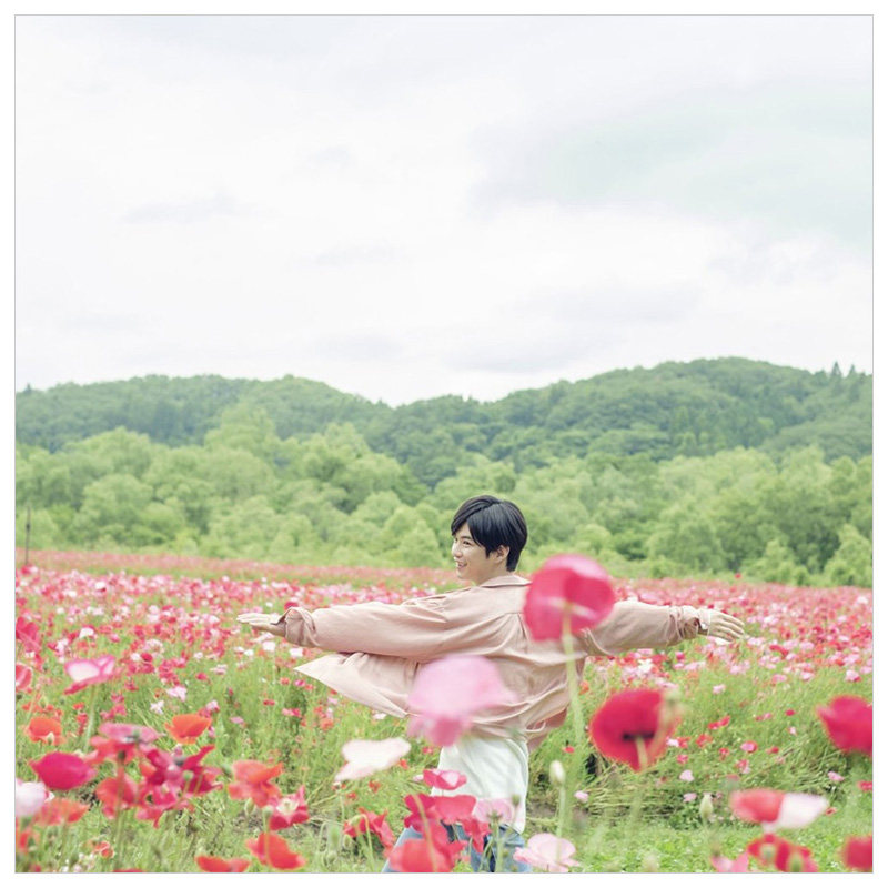 现货 千葉雄大写真集 横顔 千葉雄大寫真集 側臉日版