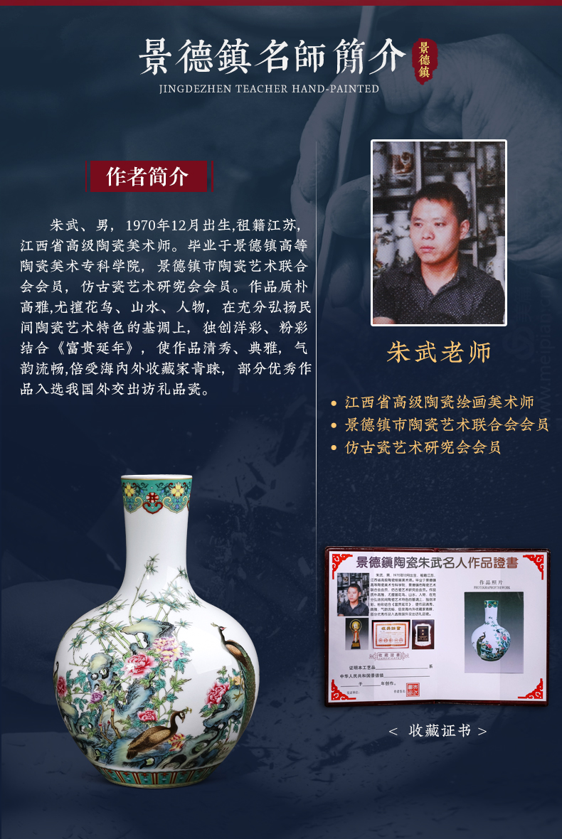 Jingdezhen ceramics peacock enamel vase furnishing articles of Chinese style living room home rich ancient frame wine ark, adornment