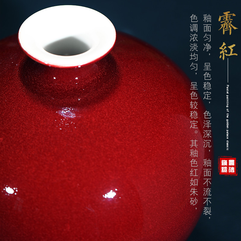 Jingdezhen ceramic vase furnishing articles of new Chinese style living room dry flower ji beauty glaze porcelain home decoration