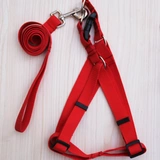 Распространение нейлоновых ремешок с домашним животным с домашним животным с собачьей цепью маленькие и средние грудные ремни Установите поставки собак