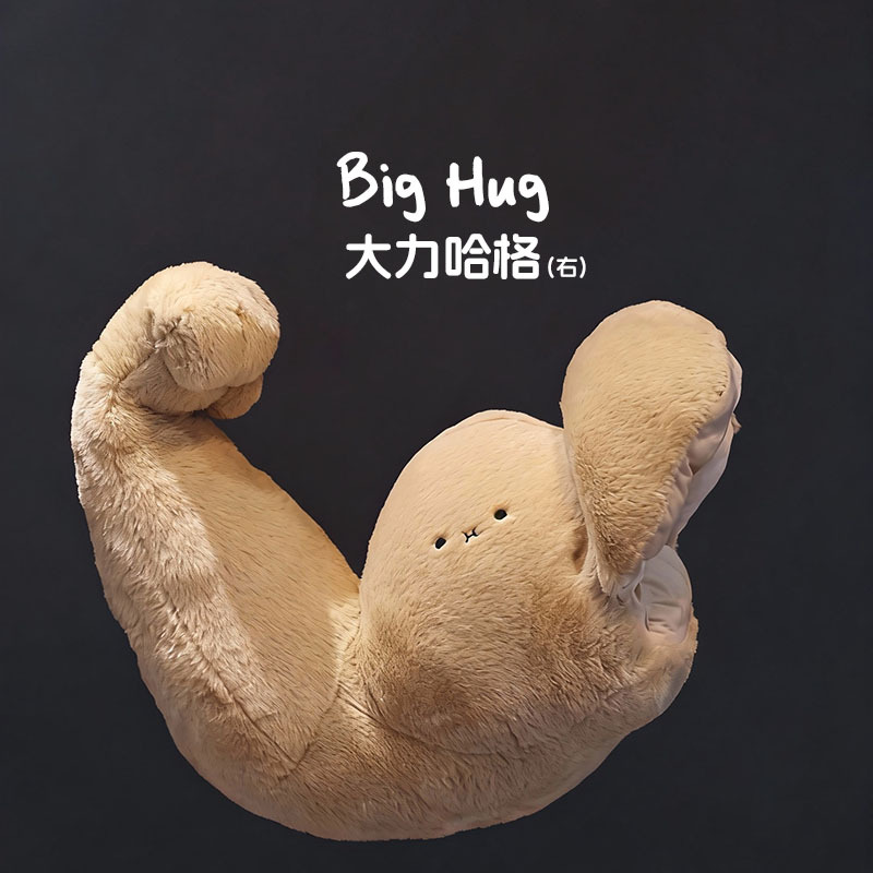 Muscle Arm Plush Toy, Muscle Plush Toy, Arm Pillow, Dali Hage, Hagleys